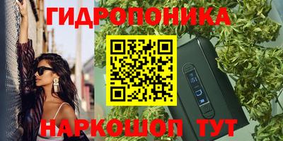 гидропоника Кунгур