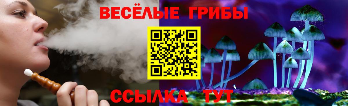 Псилоцибиновые грибы мухоморы  Галлюциногенные грибы Magic Shrooms  Красноармейск  Вход с VPN 